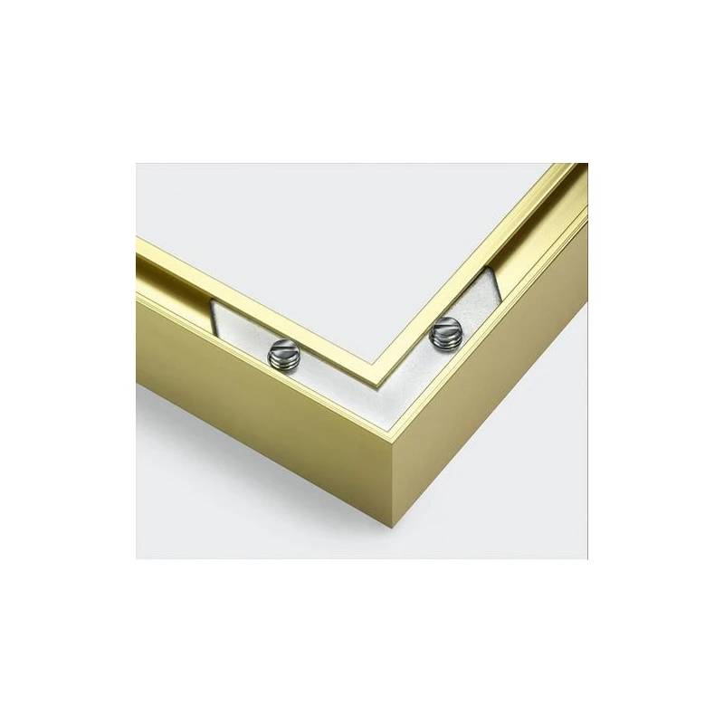 Goudkl. Aluminium Lijst Drieluik 50/80cm - Afbeelding 4