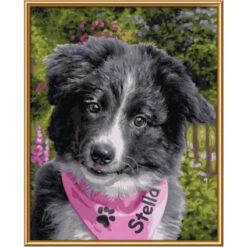 Border Collie Puppy - Schipper 24 X 30 Cm