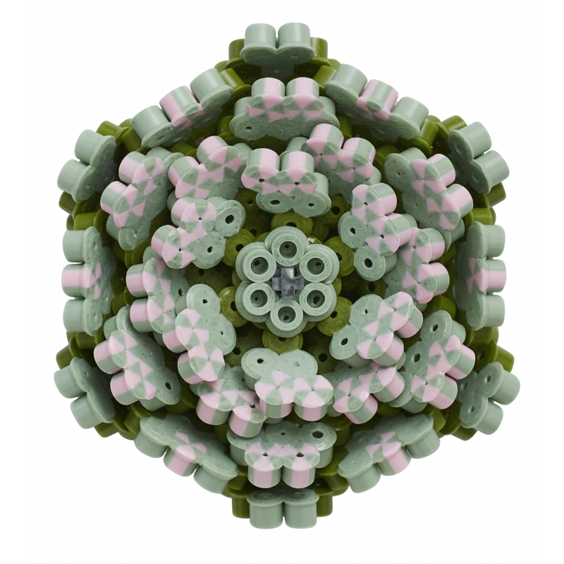 Hama Strijkkralen 3622 Art Succulents - Vetplanten 6000 St. - Afbeelding 5