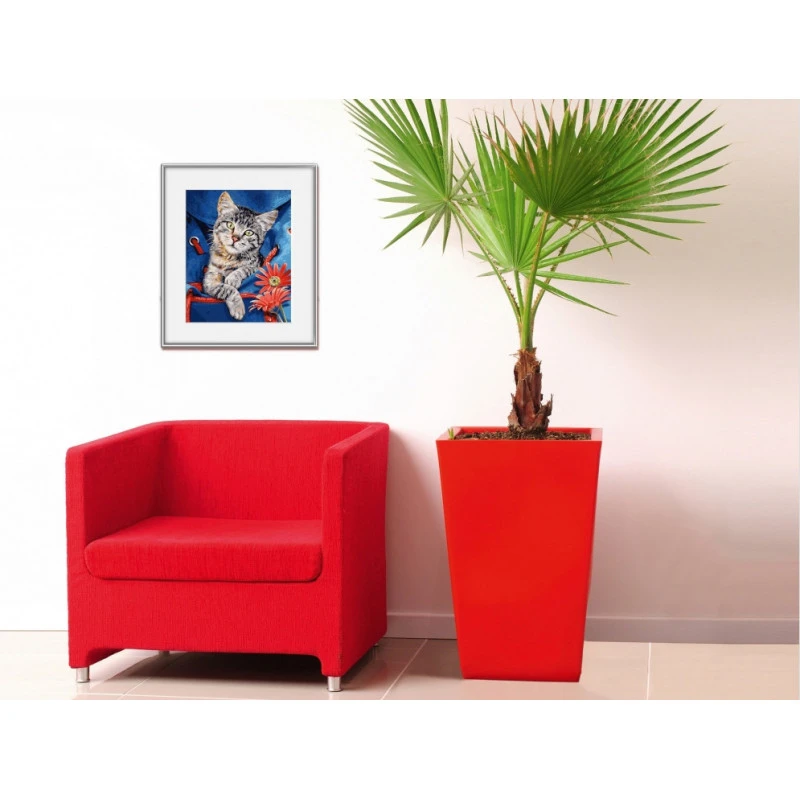 Kat In Rugzak - Schipper 24 X 30 Cm - Afbeelding 3