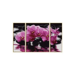 Orchideeën - Schipper Drieluik 50 X 80 Cm