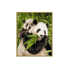 Pandas - Schipper 24 X 30 Cm