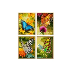 Vlinders - Schipper Quattro 18 X 24 Cm