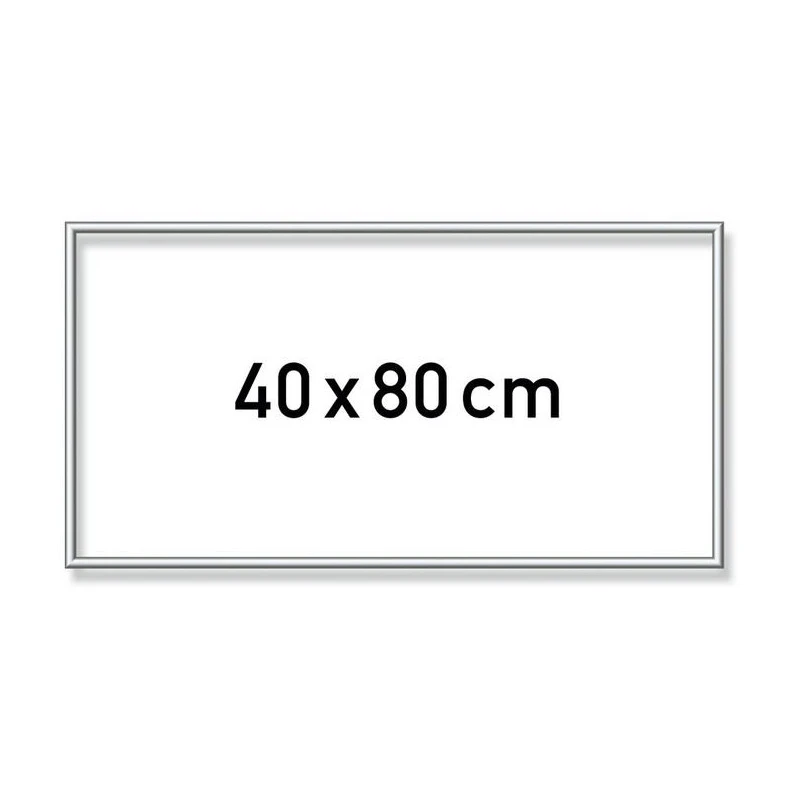 Zilverkl. Aluminium Lijst 40x80 Cm